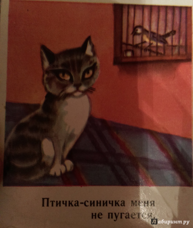Иллюстрация 17 из 24 для Котёнок - Сергей Михалков | Лабиринт - книги. Источник: Nota B