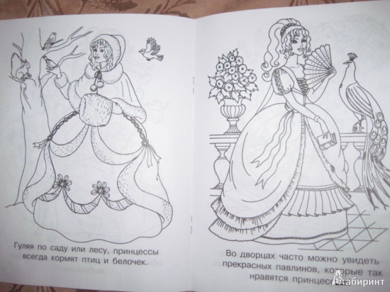 Иллюстрация 6 из 21 для Мечты принцесс. Сиреневая книжка. Раскраска | Лабиринт - книги. Источник: Ежова  Светлана