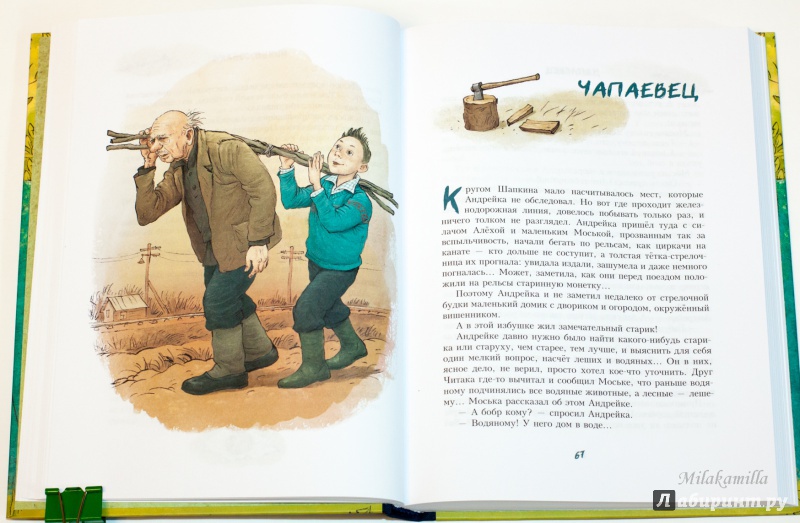 Иллюстрация 36 из 48 для Андрейка и лодырь Ромашка - Юрий Третьяков | Лабиринт - книги. Источник: Букландия