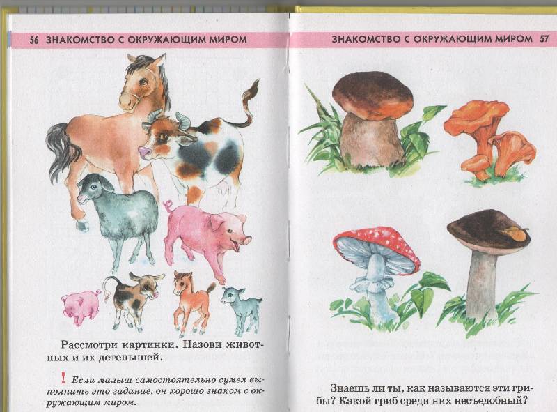 Иллюстрация 11 из 11 для Тесты на интеллектуальное развитие ребенка 5-6 лет - Юлия Соколова | Лабиринт - книги. Источник: Маринник