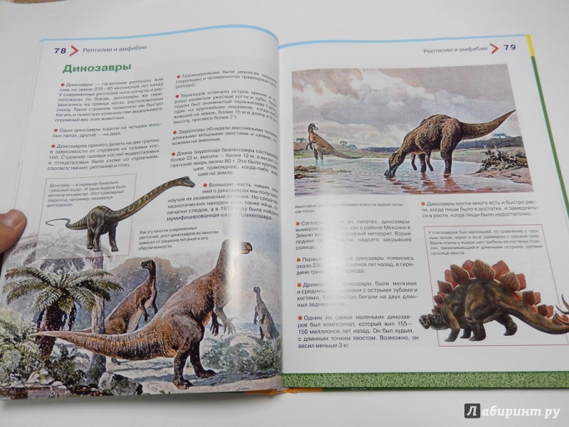 Иллюстрация 7 из 35 для Большая энциклопедия животных для детей - Brewer, Farndon | Лабиринт - книги. Источник: dbyyb