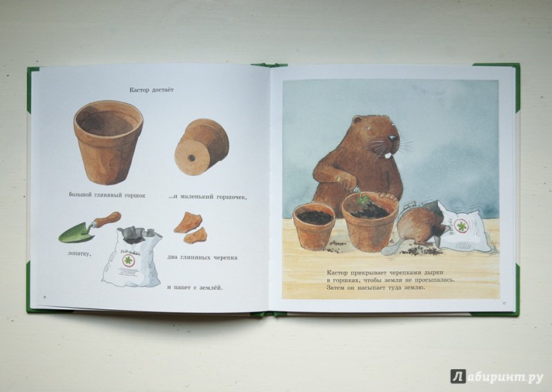 Иллюстрация 43 из 43 для Огород Кастора - Ларс Клинтинг | Лабиринт - книги. Источник: Строчинская  Надежда