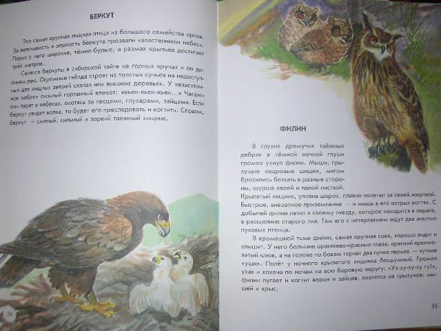 Иллюстрация 27 из 40 для Азбука живой природы - Александр Барков | Лабиринт - книги. Источник: Матюша