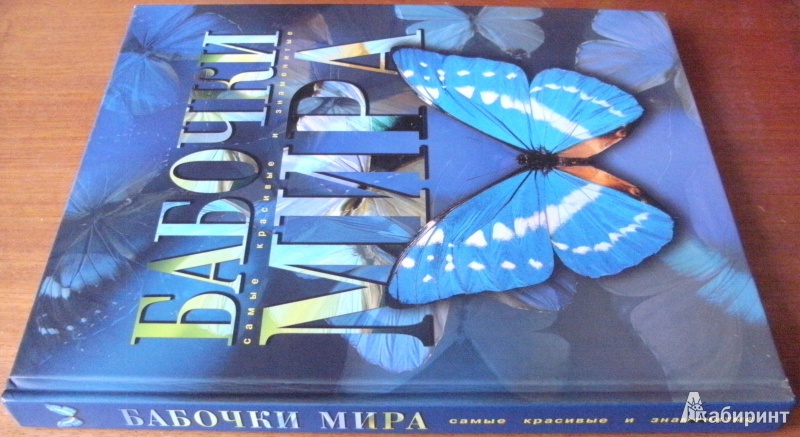 Иллюстрация 13 из 34 для Бабочки мира | Лабиринт - книги. Источник: Комаров Владимир