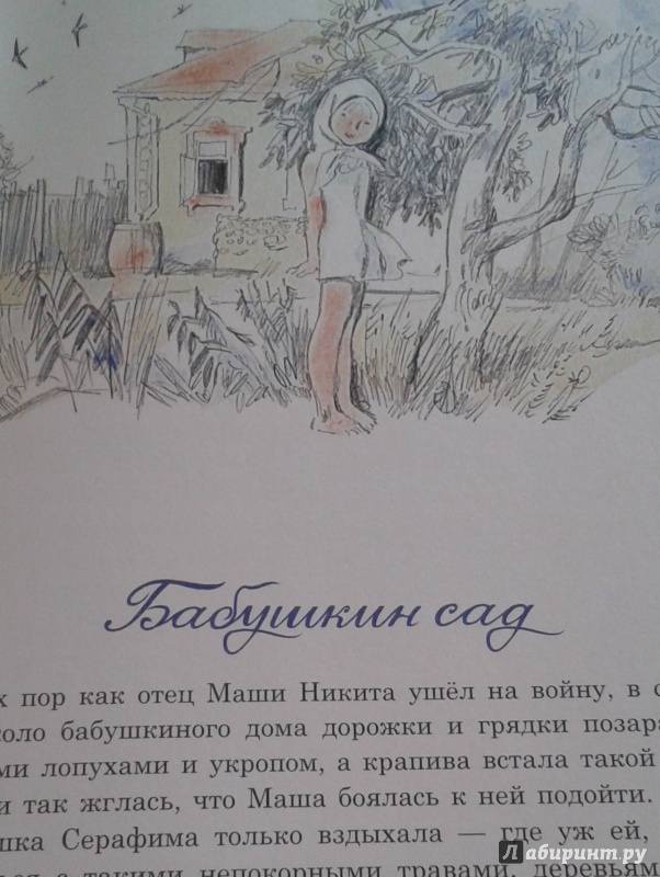 Иллюстрация 34 из 34 для Бабушкин сад - Константин Паустовский | Лабиринт - книги. Источник: Написатель