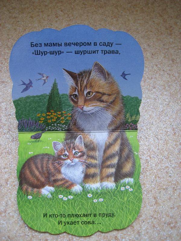 Как котенок маму искал. Котенок ищет маму. Котёнок ищет маму книга. Книжка мамин котенок. Книга пушистый котенок.