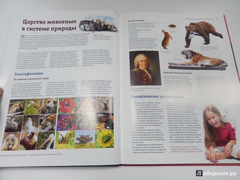 Иллюстрация 10 из 17 для Атлас животных мира - Оксана Скалдина | Лабиринт - книги. Источник: dbyyb