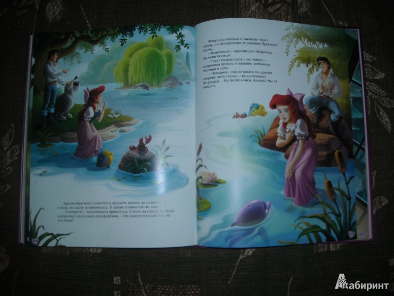 Иллюстрация 5 из 37 для Принцессы. Мечты сбываются. Моя самая большая книга | Лабиринт - книги. Источник: Лана666
