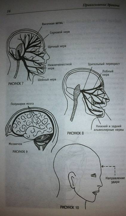 Иллюстрация 11 из 13 для Уязвимые точки человеческого тела - Лун Хей | Лабиринт - книги. Источник: alexss