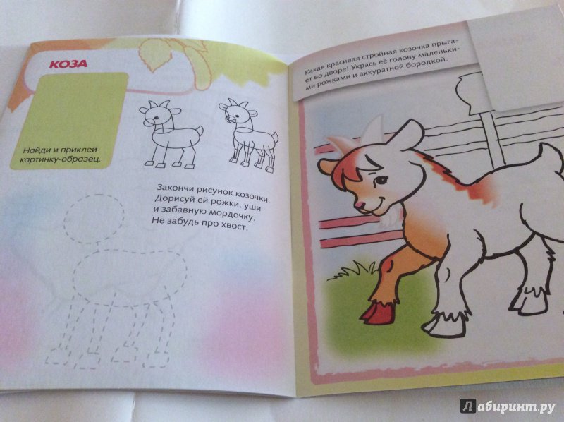 Иллюстрация 24 из 29 для Домашние животные. Дорисуй и раскрась | Лабиринт - книги. Источник: Natalia