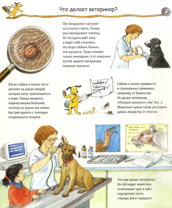 Иллюстрация 7 из 11 для Домашние питомцы - Клаудиа Толль | Лабиринт - книги. Источник: Лана