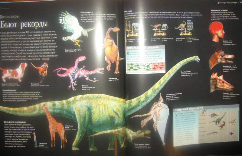 Иллюстрация 28 из 34 для Суперэнциклопедия животных - Вогт, Лонг, Лампкин | Лабиринт - книги. Источник: malli