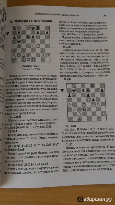 Иллюстрация 24 из 47 для Шахматы. Понимание миттельшпиля - Джон Нанн | Лабиринт - книги. Источник: Wiseman