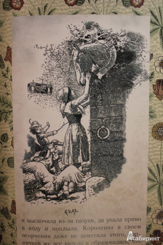 Иллюстрация 11 из 56 для Сказки Деда-Всеведа | Лабиринт - книги. Источник: Глушко  Александр