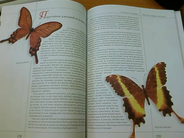 Иллюстрация 47 из 50 для Бабочки в мифах и легендах - Алексеев, Бабенко | Лабиринт - книги. Источник: lettrice