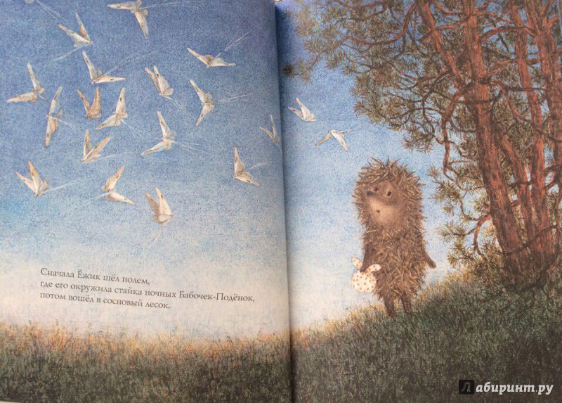 Иллюстрация 43 из 83 для Ежик в тумане - Козлов, Норштейн | Лабиринт - книги. Источник: Зайцев  Максим