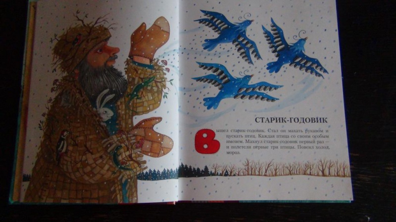 Иллюстрация 12 из 55 для Старик-годовик - Владимир Даль | Лабиринт - книги. Источник: Тимофеева  Валентина