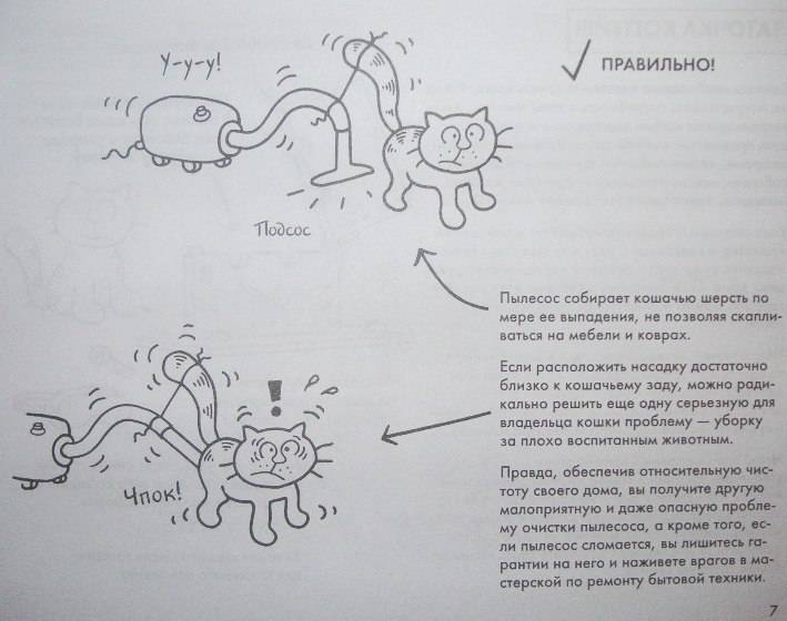 Иллюстрация 4 из 4 для Руководство по выживанию для владельцев кошек - Мартин Баксендейл | Лабиринт - книги. Источник: Rumeur