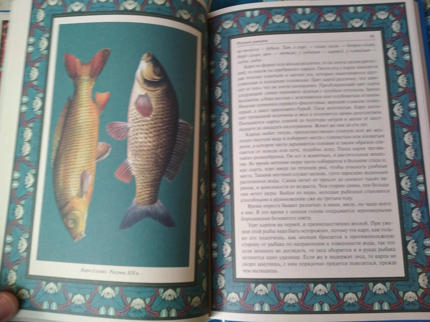 Иллюстрация 33 из 33 для Русская рыбалка | Лабиринт - книги. Источник: Лабиринт