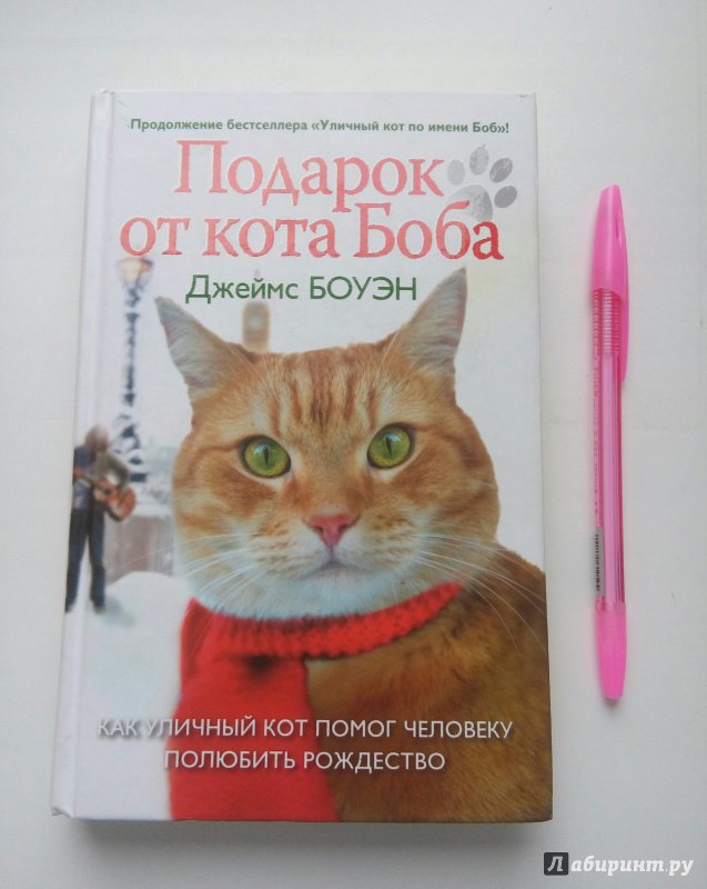 Иллюстрация 49 из 58 для Подарок от кота Боба - Джеймс Боуэн | Лабиринт - книги. Источник: Хазарадзе  Анна Сергеевна