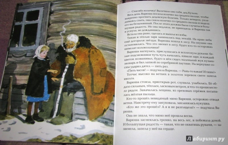 Иллюстрация 43 из 68 для Стальное колечко - Константин Паустовский | Лабиринт - книги. Источник: Бог в помощь