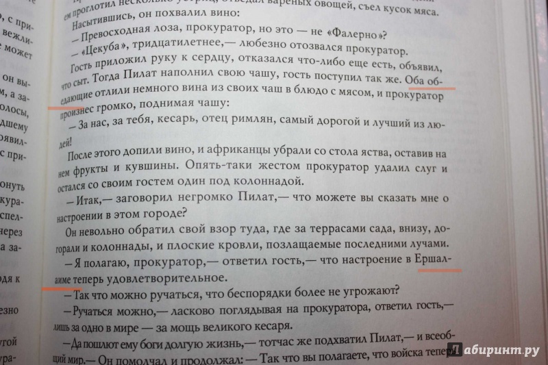 Иллюстрация 15 из 72 для Мастер и Маргарита - Михаил Булгаков | Лабиринт - книги. Источник: Михайлова Алексия