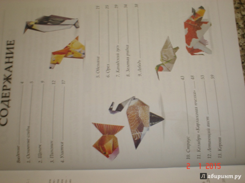 Иллюстрация 2 из 50 для Оригами. Волшебство из бумаги. Книга 4 | Лабиринт - книги. Источник: Дева НТ