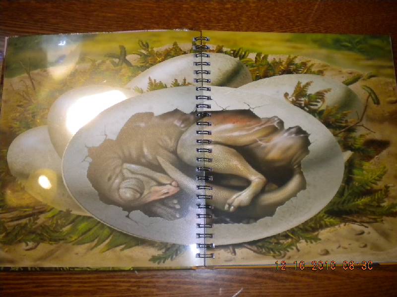 Иллюстрация 7 из 15 для Динозавры - Роберт Коуп | Лабиринт - книги. Источник: Девушка с кошкой