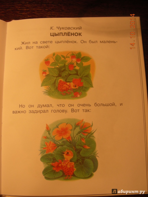 Иллюстрация 23 из 24 для Сказки-малютки для малышек - Г. Коненкина | Лабиринт - книги. Источник: Королева  Ольга Евгеньевна