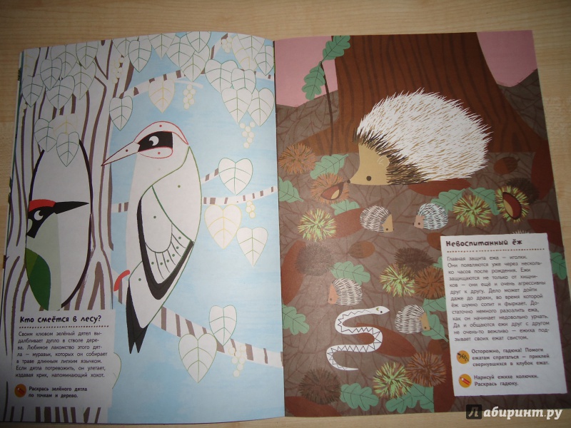 Иллюстрация 28 из 37 для Лесные жители - Оливия Косно | Лабиринт - книги. Источник: Кот_А