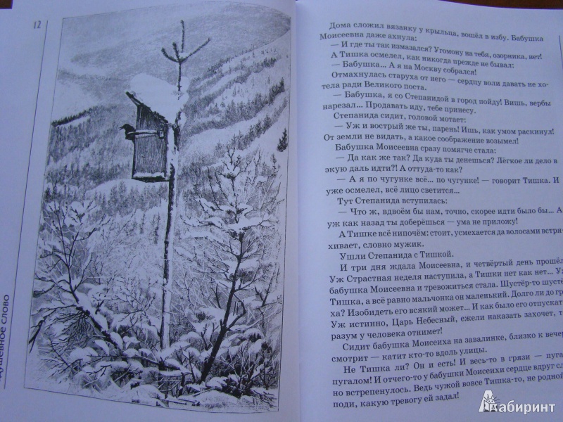 Иллюстрация 14 из 22 для Задушевное слово - Александр Федоров-Давыдов | Лабиринт - книги. Источник: SSL