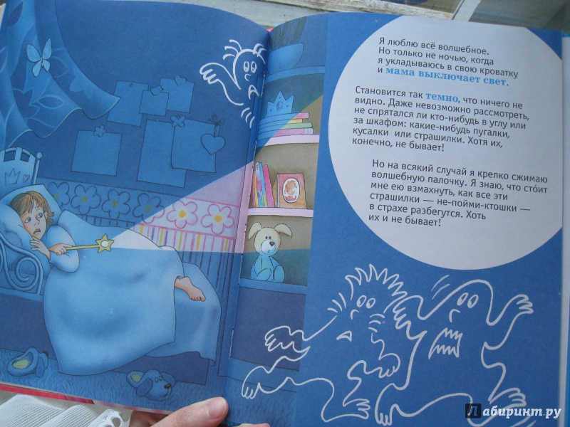 Иллюстрация 12 из 18 для История маленькой принцессы - Анжела Берлова | Лабиринт - книги. Источник: vs