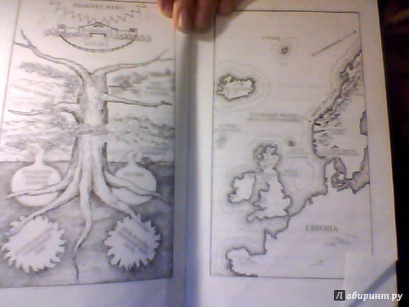Иллюстрация 36 из 36 для Море троллей - Нэнси Фармер | Лабиринт - книги. Источник: Лабиринт