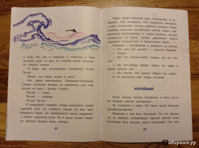 Иллюстрация 11 из 32 для Дельфиний остров - Святослав Сахарнов | Лабиринт - книги. Источник: Ирина  Ирина