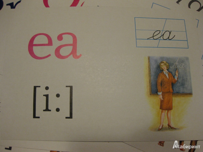 Иллюстрация 5 из 24 для Тематические карточки: Алфавит (Alphabet) | Лабиринт - книги. Источник: White lady