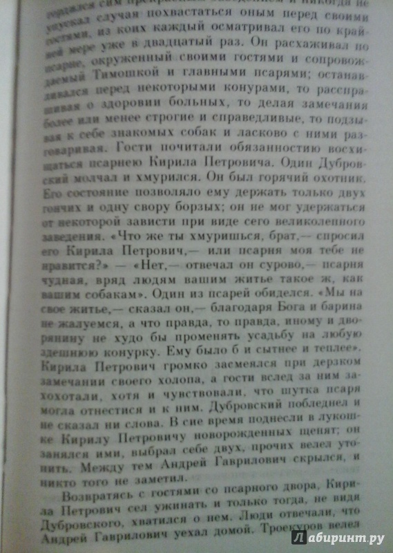 Иллюстрация 3 из 8 для Дубровский - Александр Пушкин | Лабиринт - книги. Источник: Мошков Евгений Васильевич