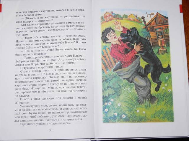 Иллюстрация 32 из 55 для Алый и другие рассказы - Юрий Коваль | Лабиринт - книги. Источник: Irbis