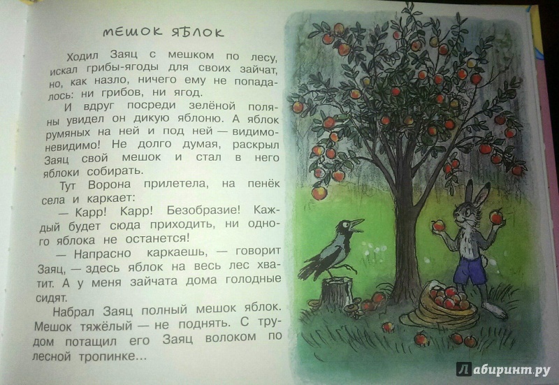 Иллюстрация 6 из 24 для Мешок яблок - Владимир Сутеев | Лабиринт - книги. Источник: Лё