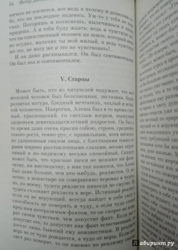 Иллюстрация 11 из 24 для Братья Карамазовы - Федор Достоевский | Лабиринт - книги. Источник: NiNon