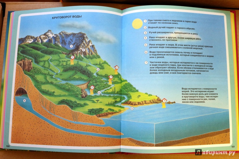 Иллюстрация 30 из 74 для Загадки природы - Бомон, Гийоре | Лабиринт - книги. Источник: Террил