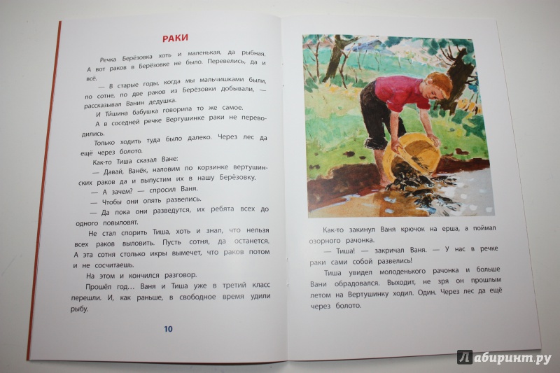 Иллюстрация 21 из 46 для Смородинка - Евгений Пермяк | Лабиринт - книги. Источник: Bradbury