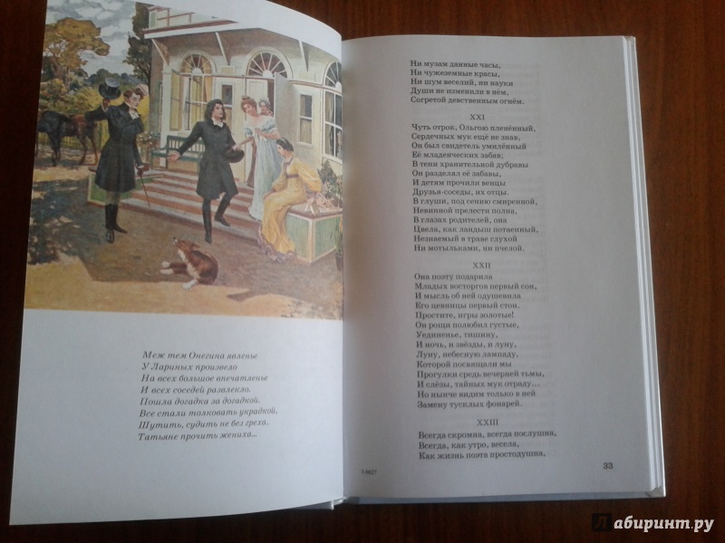 Иллюстрация 15 из 28 для Евгений Онегин - Александр Пушкин | Лабиринт - книги. Источник: strela