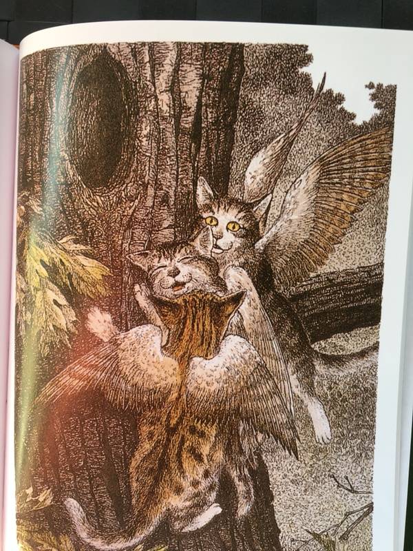 Иллюстрация 37 из 59 для Крылатые кошки - Гуин Ле | Лабиринт - книги. Источник: Анна  Анна