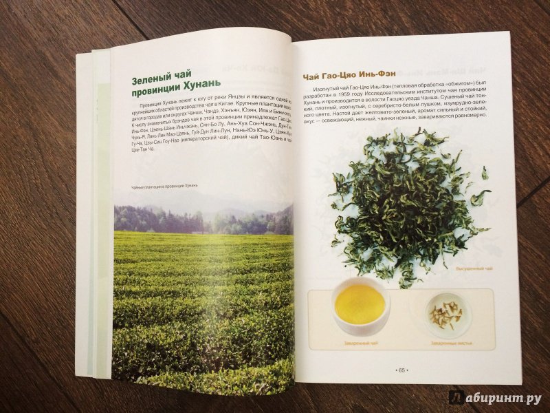 Иллюстрация 12 из 20 для Зеленый чай: оцените китайский чай - Хун Ли | Лабиринт - книги. Источник: Lr