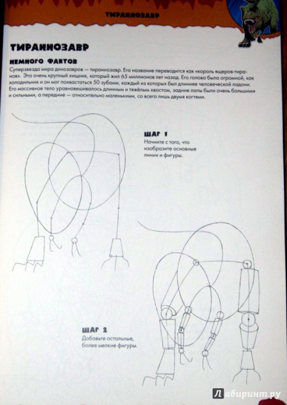 Иллюстрация 16 из 25 для Рисуем динозавров - Стив Бомонт | Лабиринт - книги. Источник: DARKLIGHT