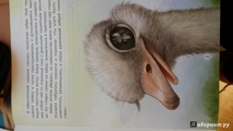 Иллюстрация 3 из 31 для Заботы страуса - Лариса Тарасенко | Лабиринт - книги. Источник: Бурмистрова  Елена