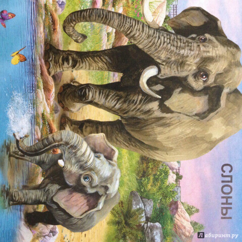 Иллюстрация 8 из 12 для Животные в зоопарке | Лабиринт - книги. Источник: Салий  Любовь Сергеевна
