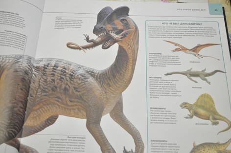 Иллюстрация 104 из 109 для Динозавры. Иллюстрированный атлас - Майкл Бретт-Шуман | Лабиринт - книги. Источник: Natali_i_Ko
