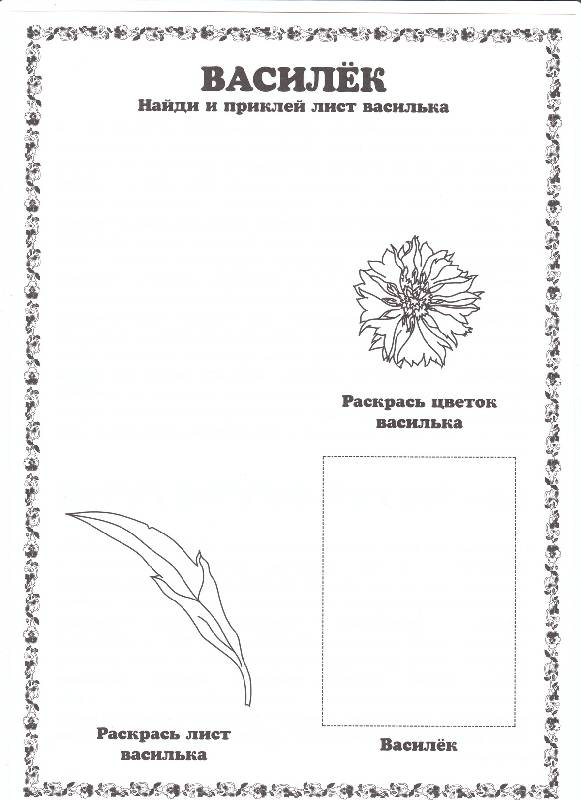 Иллюстрация 6 из 19 для Гербарий: Полевые цветы и травы | Лабиринт - игрушки. Источник: Трофимова  Оксана Викторовна