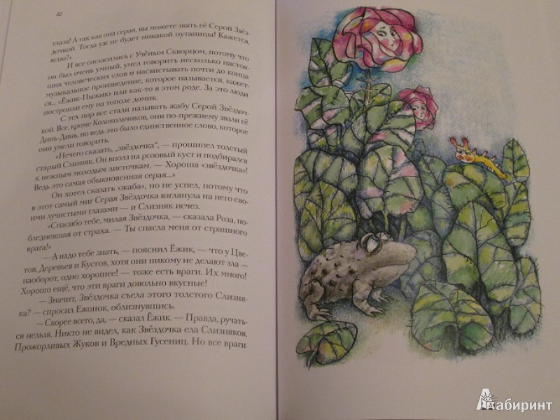 Иллюстрация 18 из 67 для Отшельник и Роза - Борис Заходер | Лабиринт - книги. Источник: Читатель Книг